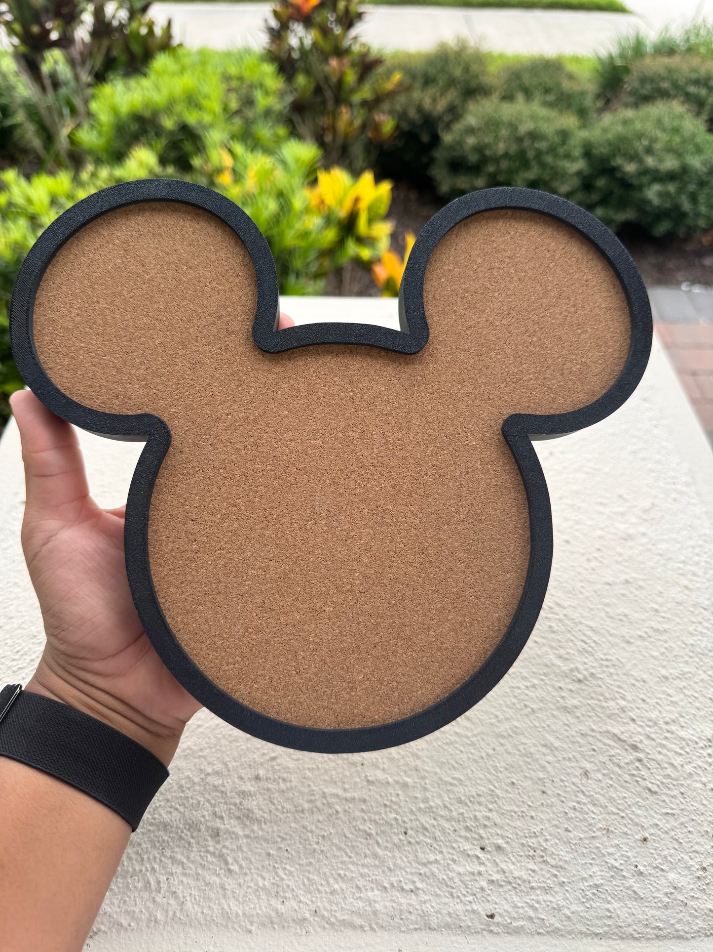 The “Original Mouse” Pin Board